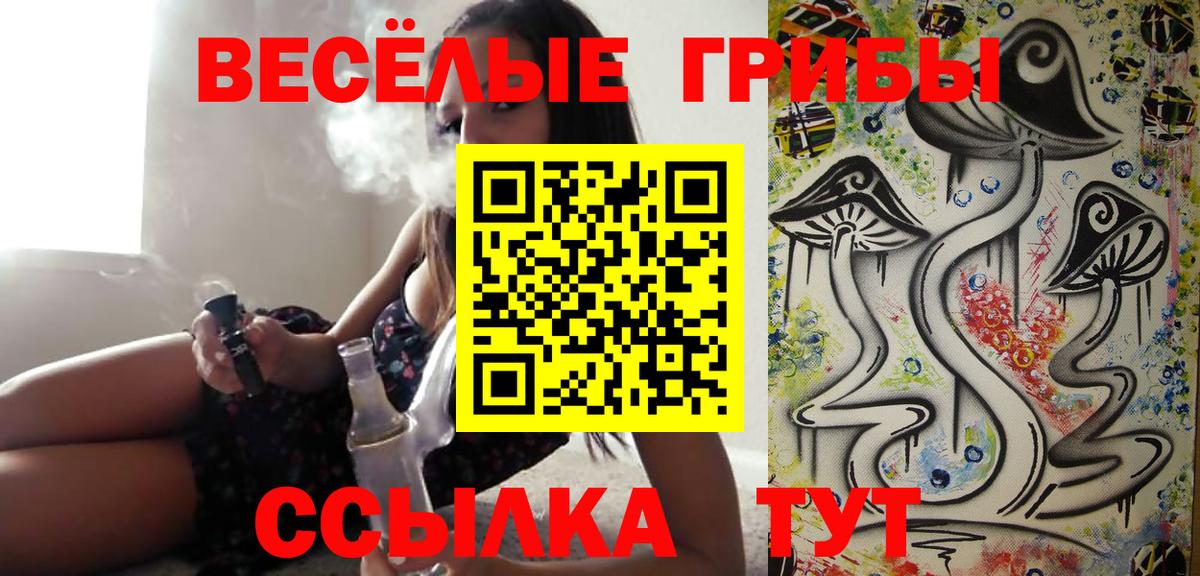 Карталы  что такое наркотик  Галлюциногенные грибы MAGIC MUSHROOMS  Вход с VPN  Галлюциногенные грибы Cubensis 